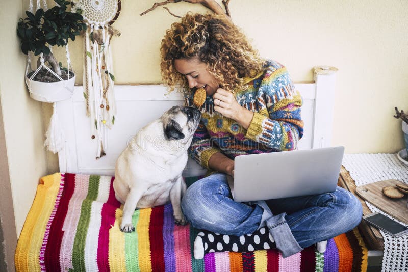 Cheerful beautiful young woman share a cookie with her funny and lovely pug dog while work with laptop computer at home on a