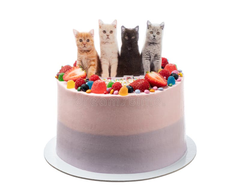 Cheerful birthday cake made of sweets and cats. On a white background. stock photography Cheerful birthday cake made of sweets and cats. On a white background. stock photography