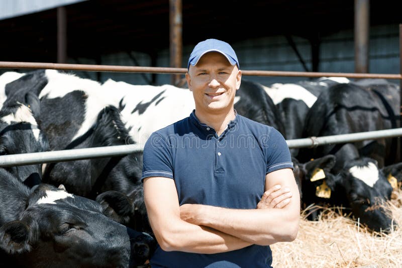 Cheerful farmer surrounded by cows on farm stock photography Cheerful farmer surrounded by cows on farm stock photography