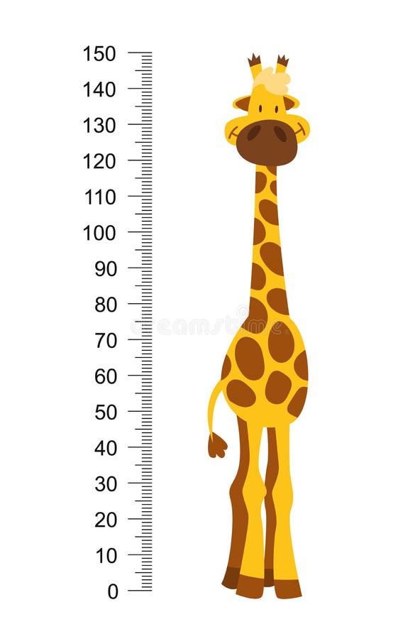 Cheerful funny giraffe with long neck. Height meter or meter wall or wall sticker from 0 to 150 centimeters to measure