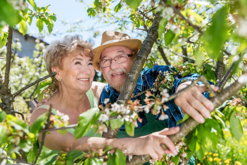 Cheerful senior couple portrait among tree branches.