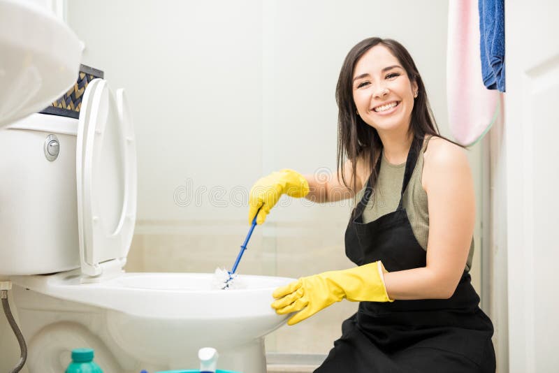 Wiping a toilet seat stock image. Image of housewife 