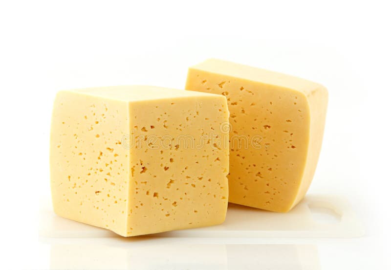 Ants eating stock photo. Image of eating, insects, swarm 14505546