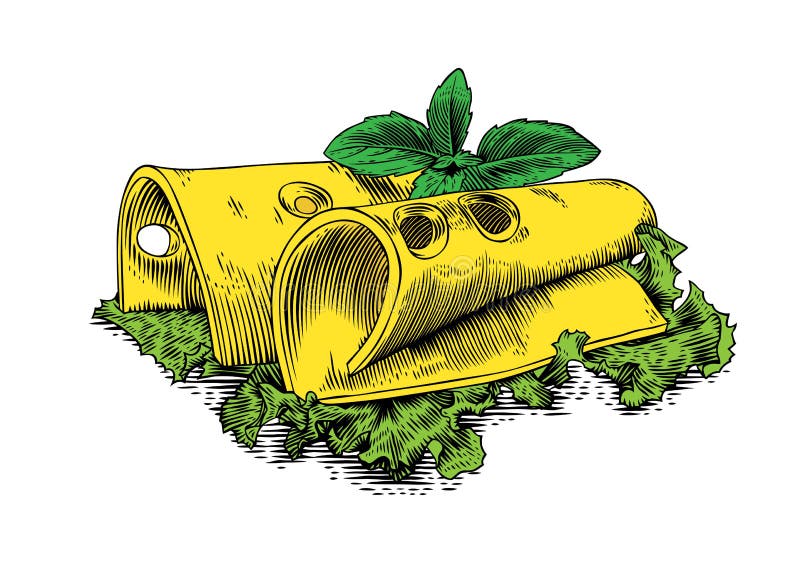 Cheese with basil and lettuce vector illustration
