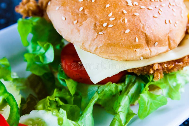 Cheese burger on dish stock photo. Image of beef, chicken 158218188