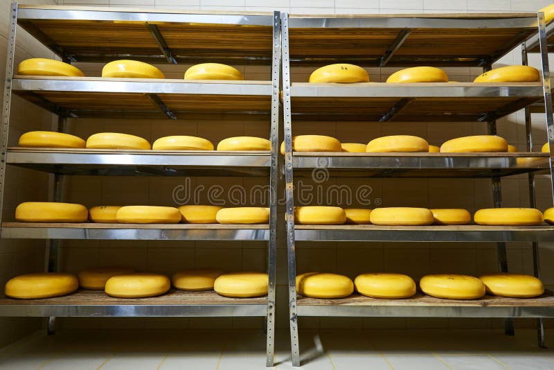 Cheese factory warehouse with shelves of product