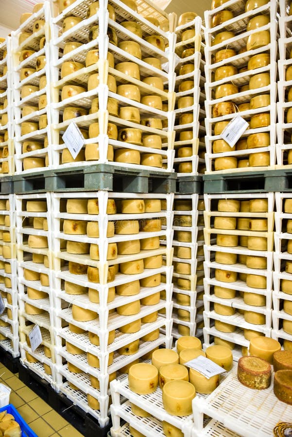 Cheese Factory Warehouse with Shelves Stacked with Cheese Stock Image