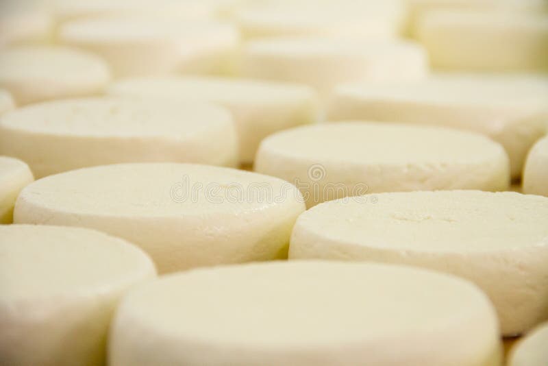 Cheese Factory Warehouse with Shelves of Product Capretto and La Stock