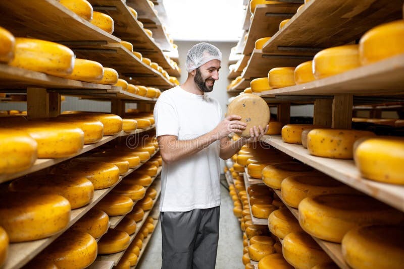 Cheese Maker at the Cheese Storage Stock Photo Image of industry, cheese 132609634