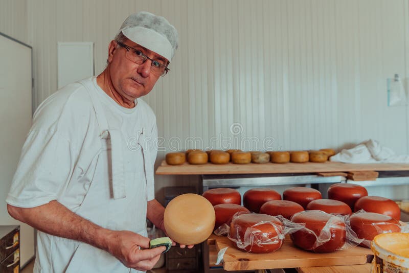 Cheese Maker Working in the Industry for Manual Production of Homemade