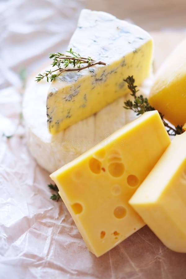 Cheese Plate with Different Kinds of Cheese with White Wine Stock Photo Image of dessert