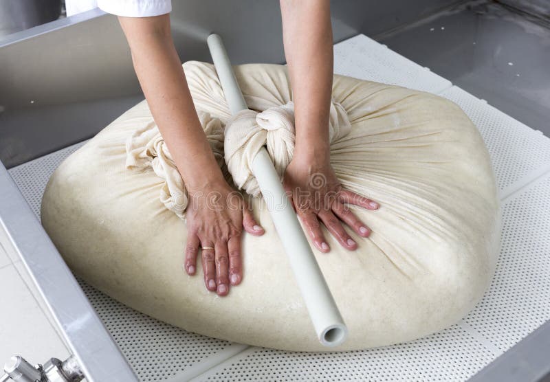 A woman working in a small family creamery is processing the final steps of making a cheese batch. The dairy farm is specialized in buffalo yoghurt and cheese production. A woman working in a small family creamery is processing the final steps of making a cheese batch. The dairy farm is specialized in buffalo yoghurt and cheese production.