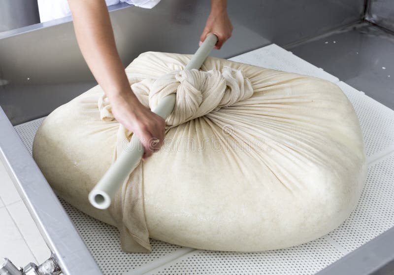 A woman working in a small family creamery is processing the final steps of making a cheese batch. The dairy farm is specialized in buffalo yoghurt and cheese production. A woman working in a small family creamery is processing the final steps of making a cheese batch. The dairy farm is specialized in buffalo yoghurt and cheese production.