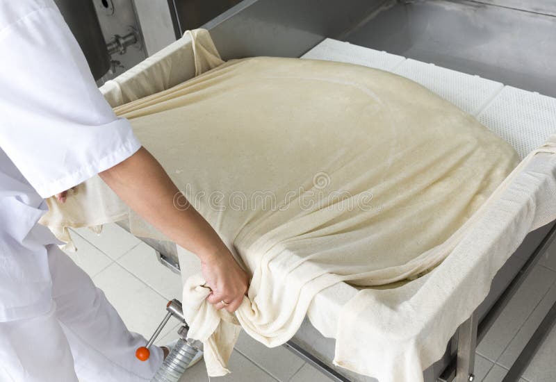 A woman working in a small family creamery is processing the final steps of making a cheese batch. The dairy farm is specialized in buffalo yoghurt and cheese production. A woman working in a small family creamery is processing the final steps of making a cheese batch. The dairy farm is specialized in buffalo yoghurt and cheese production.