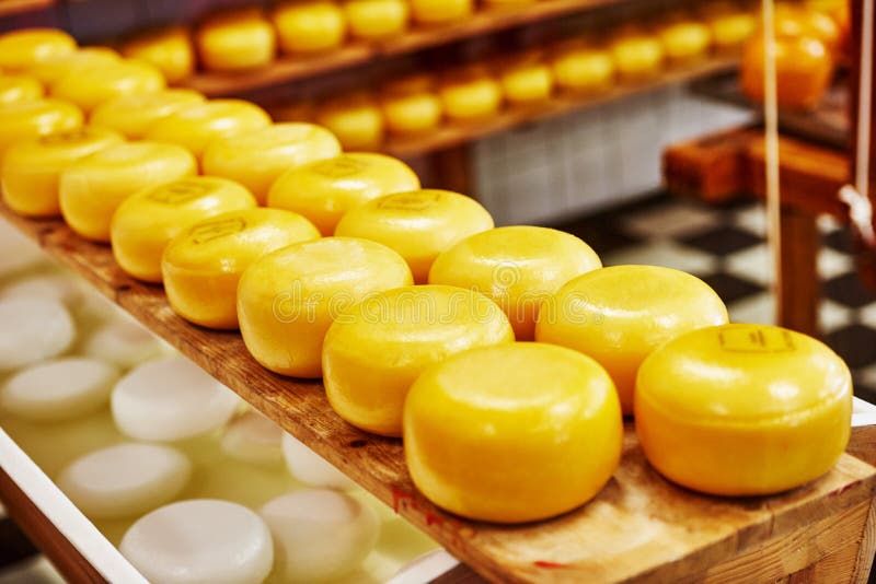 76+ Thousand Cheese Making Royalty-Free Images, Stock Photos & Pictures