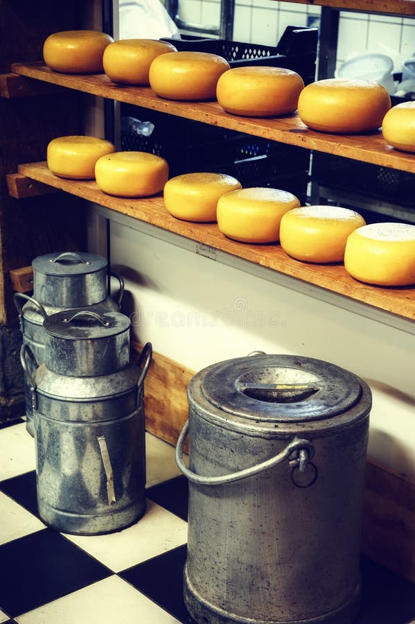 Cheese rounds and milk cans in small dairy factory stock photo Cheese rounds and milk cans in small dairy factory stock photo
