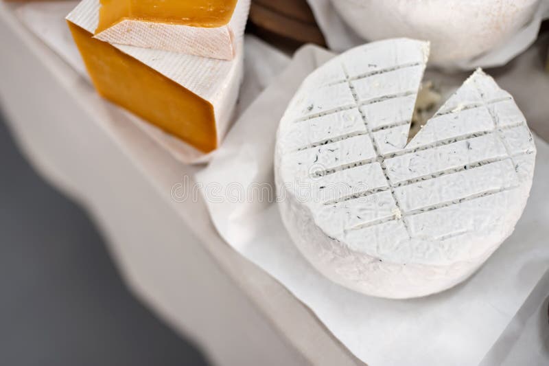 Cheese on sale stock photo. Image of product, cheese 102636220