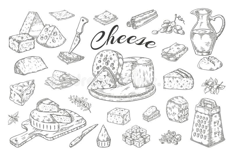 Cheese sketch. Hand drawn milk products, gourmet food slices, cheddar Parmesan brie. Vector breakfast vintage