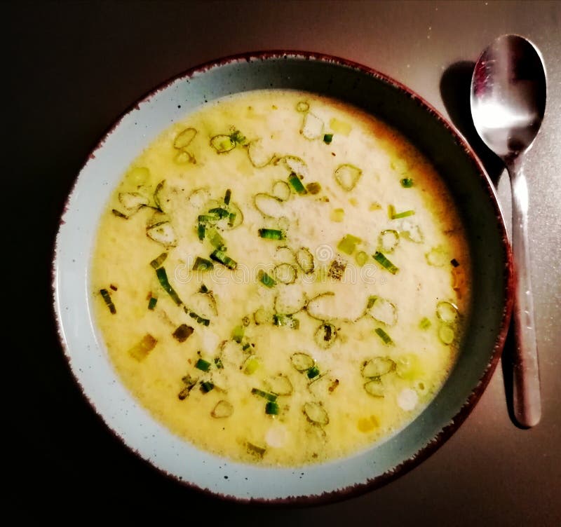 Cheese Soup with Fresh Leek Stock Photo - Image of leek, cheese: 162420612