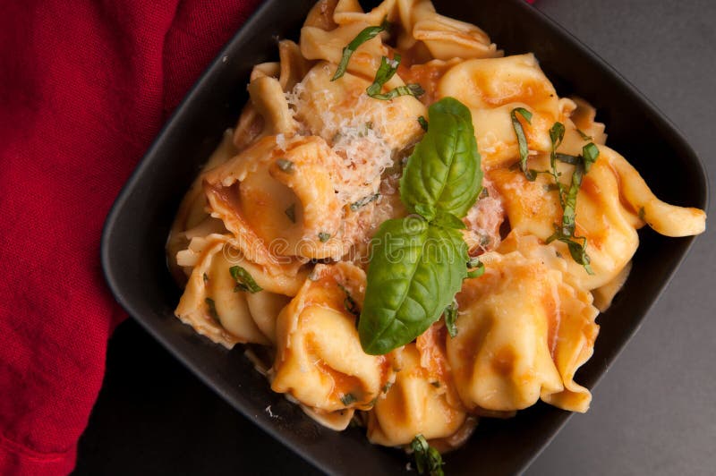 Cheese Stuffed Ravioli in Tomato Sauce Stock Photo Image of cheese