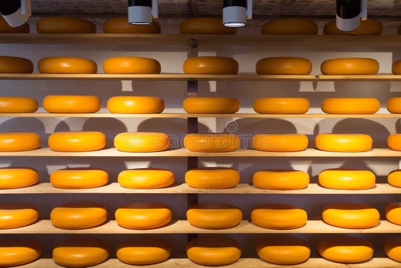 Cheese Wheels stock photo. Image of rack, industrial 55981334