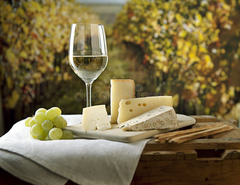 Cheese and Wine royalty free stock photos Cheese and Wine royalty free stock photos