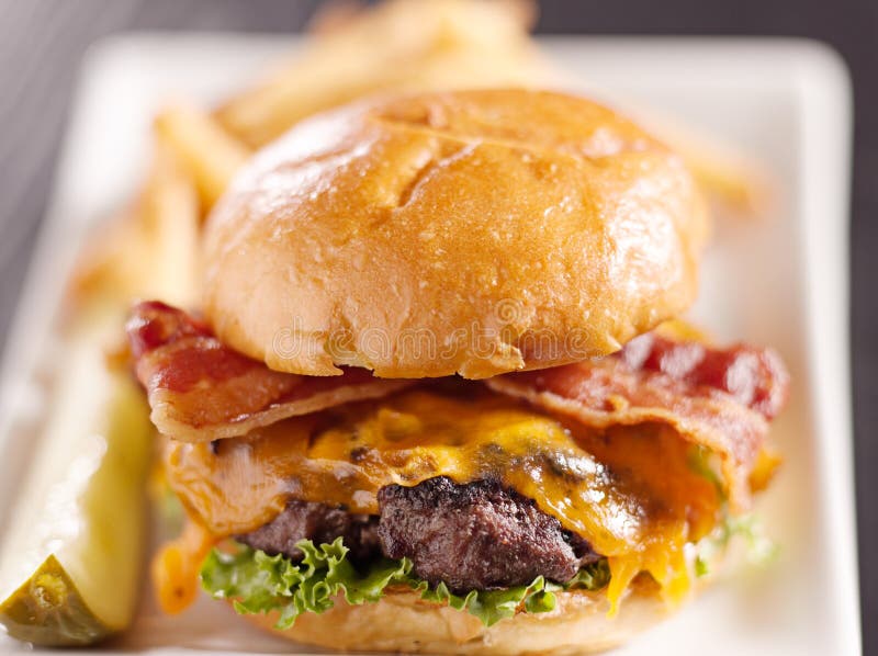 Cheeseburger μπέϊκον ακραία εστίαση ε στοκ φωτογραφίες με δικαίωμα ελεύθερης χρήσης