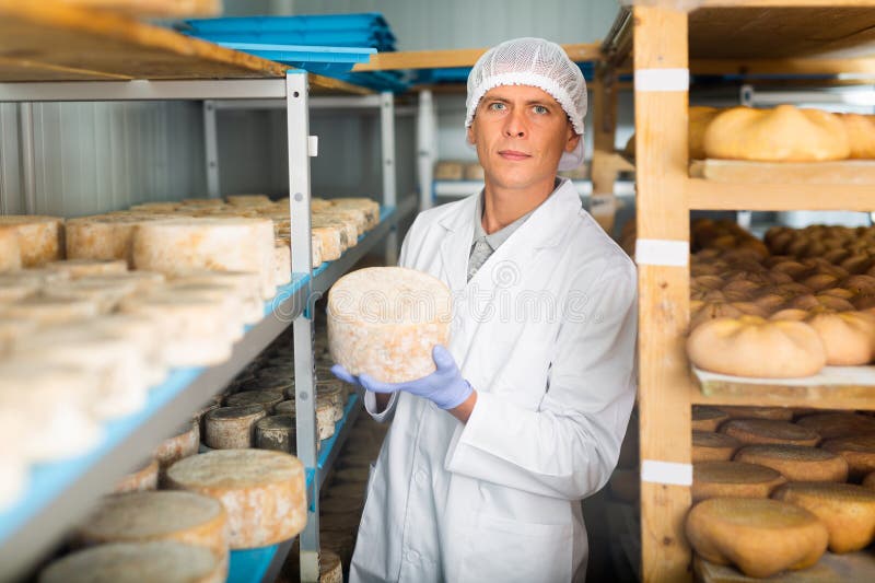 Cheesemaker Checking Aging Process of Cheese in Maturing Chamber Stock Photo Image of cheese