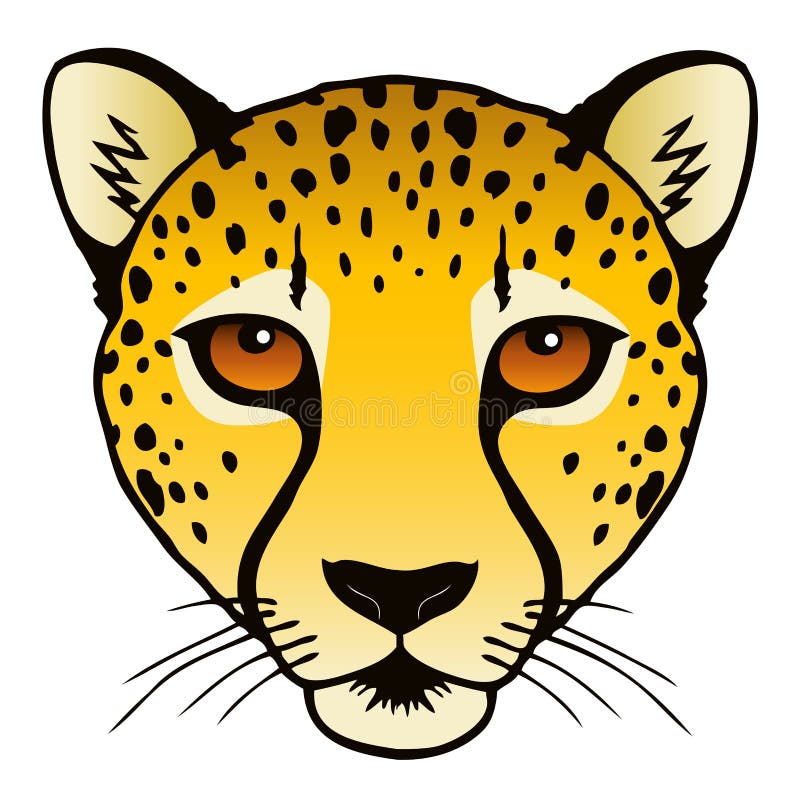 Cheetah stock vector. Illustration of jubatus, image 29468927