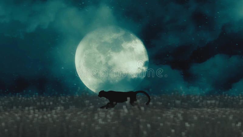 Cheetah or Black Panther Running through the Night on a Full Moon Background  Stock Video - Video of black, wild: 85739241