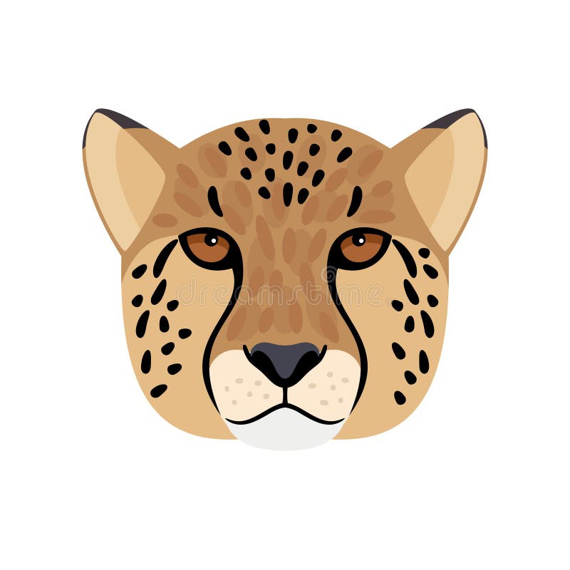 Cheetah Face Clipart Images