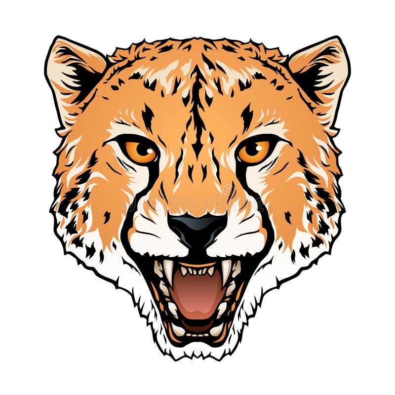 Cheetah head stock vector. Image of leopard, background 61642097