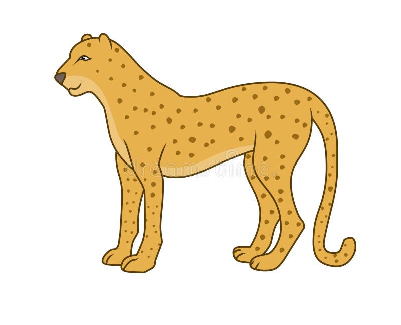 Cheetah. Cheetah Illustration Watercolor Stock Illustration ...