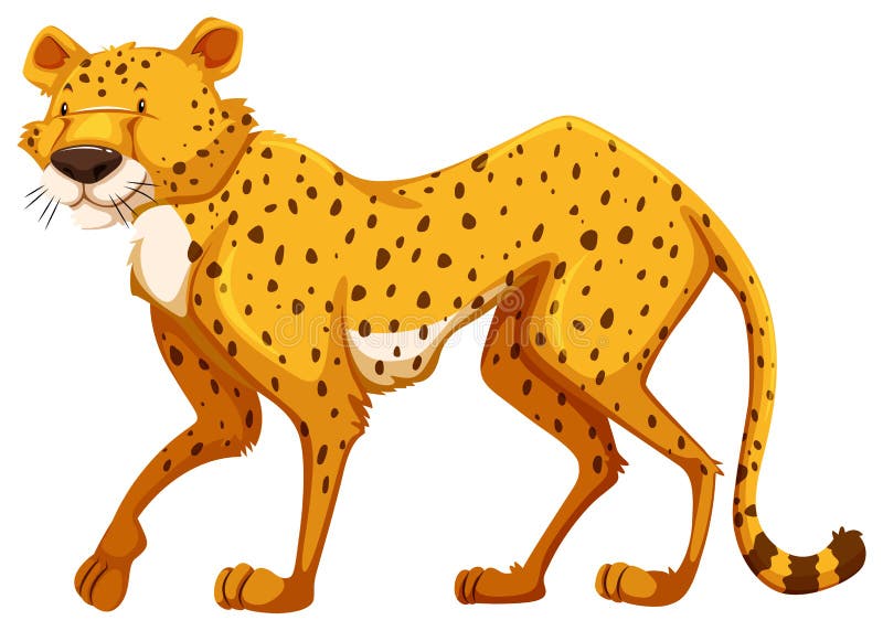 Cheetah Stock Illustrations – 14,538 Cheetah Stock Illustrations ...