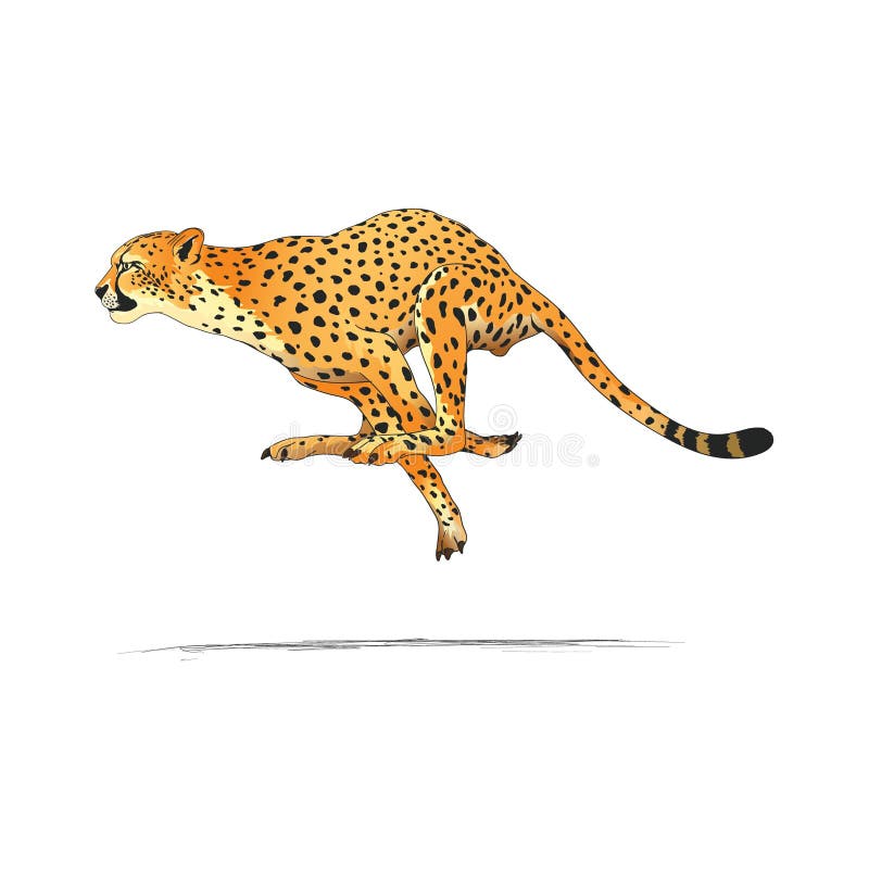 Cheetah. Vector Illustration Decorative Design Stock Vector