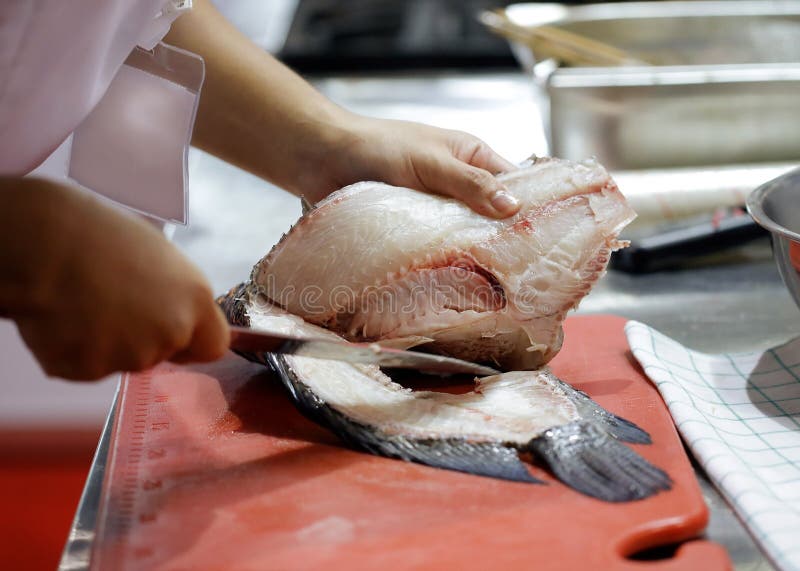 Chef Cutting Fish, Chef Slices Fish Fresh on Board in the Kitchen Stock Photo Image of chef