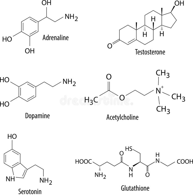 Chemical formulas of neurotransmitters and similar substances in human body