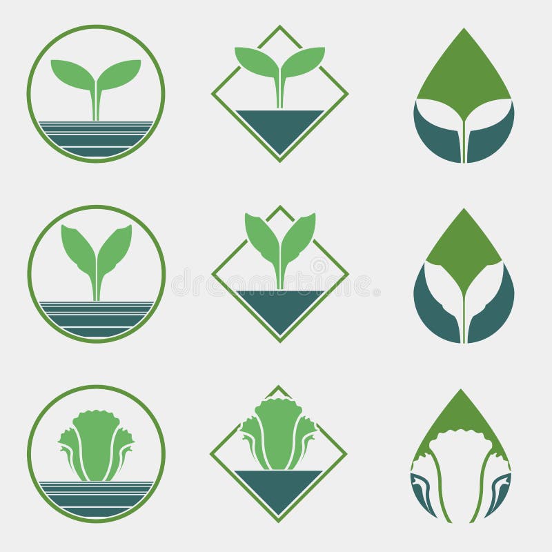 Chemical Free Vegetable Logo vector illustration