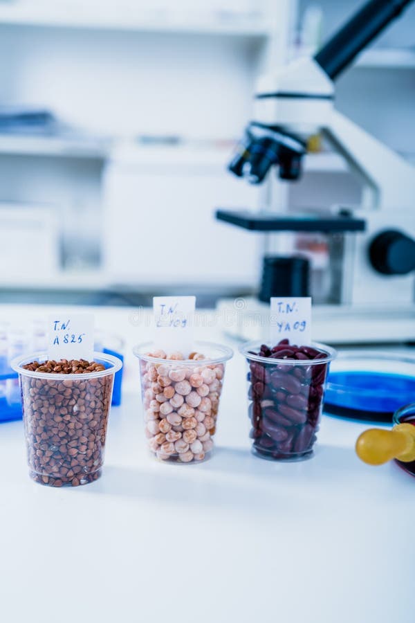 Chemical Laboratory of the Food Supply . Food in Laboratory, Dna Modify