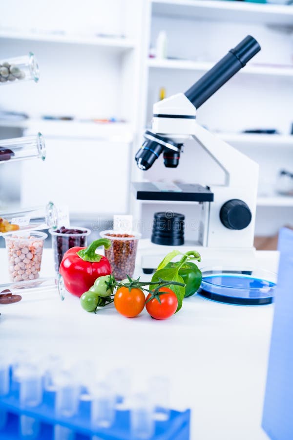 Chemical Laboratory of the Food Supply . Food in Laboratory, Dna Modify