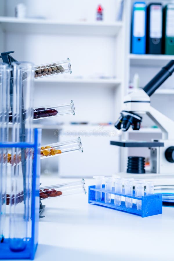 Chemical Laboratory of the Food Supply . Food in Laboratory, Dna Modify .GMO