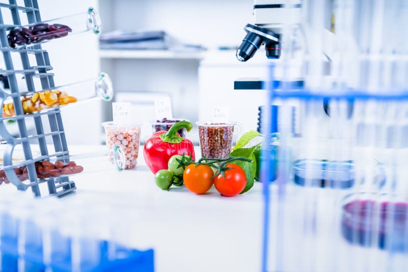 Chemical Laboratory of the Food Supply . Food in Laboratory, Dna Modify