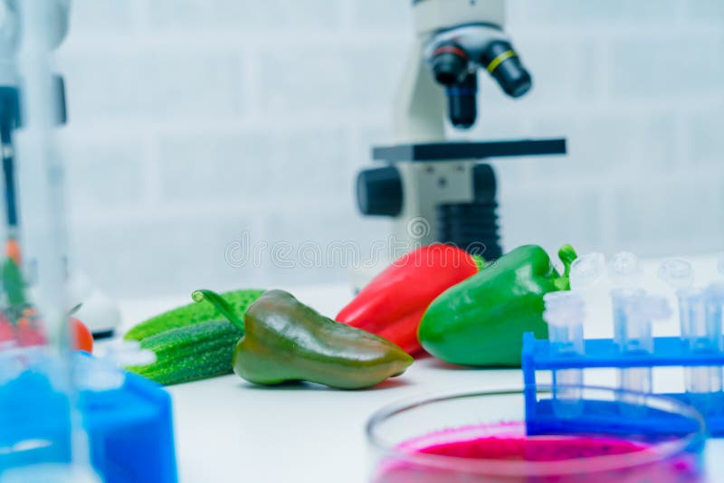Chemical Laboratory of the Food Supply . Food in Laboratory, Dna Modify