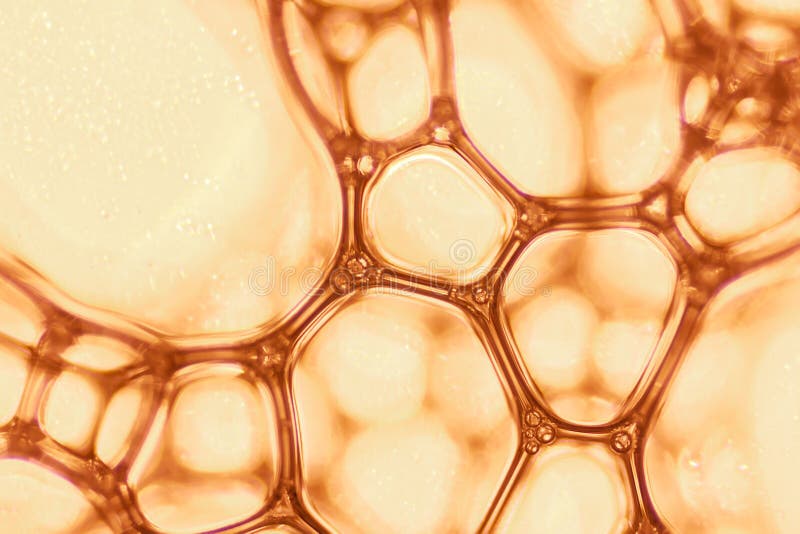 Chemical macro view white soapy bubbles foam. suds and shower texture. Blue background. soft focus stock photos Chemical macro view white soapy bubbles foam. suds and shower texture. Blue background. soft focus stock photos