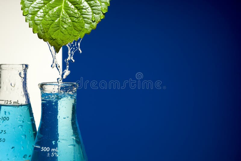 Chemical Test Tube and leaf .Experiment with Laboratory glass.