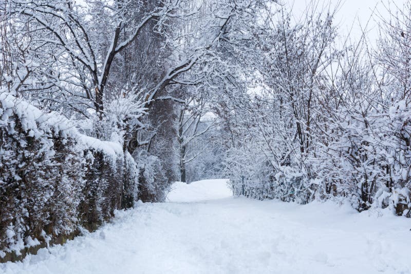 Chemin couvert de grande neige en parc le jour froid d'hiver photographie stock Chemin couvert de grande neige en parc le jour froid d'hiver photographie stock