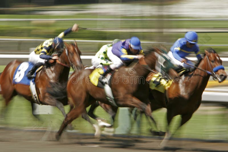 Chemin de cheval de tache floue de mouvement photos stock Chemin de cheval de tache floue de mouvement photos stock