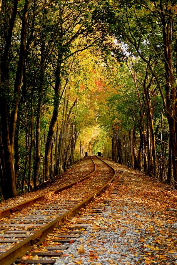 Chemin de fer d'automne