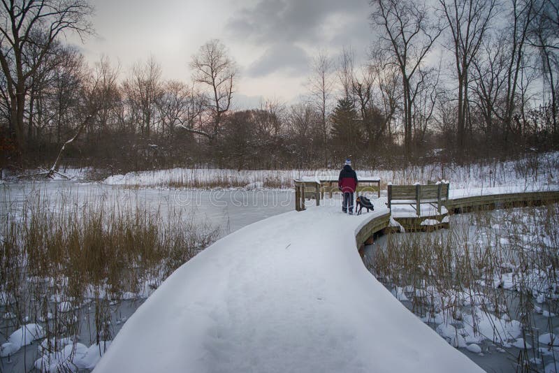 Chemin de Milou un jour d'hiver, parc provincial d'Ontario, Canada images libres de droits Chemin de Milou un jour d'hiver, parc provincial d'Ontario, Canada images libres de droits