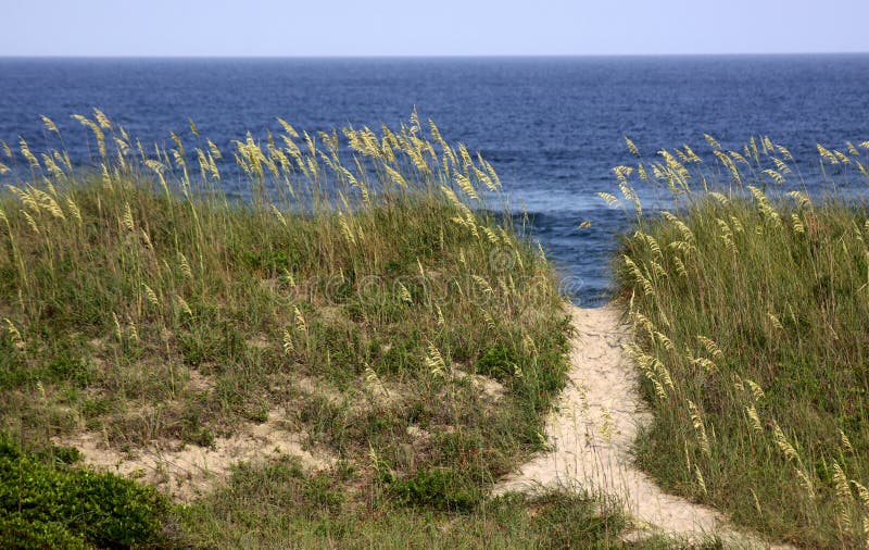 Chemin de plage de la Caroline du Nord images stock Chemin de plage de la Caroline du Nord images stock